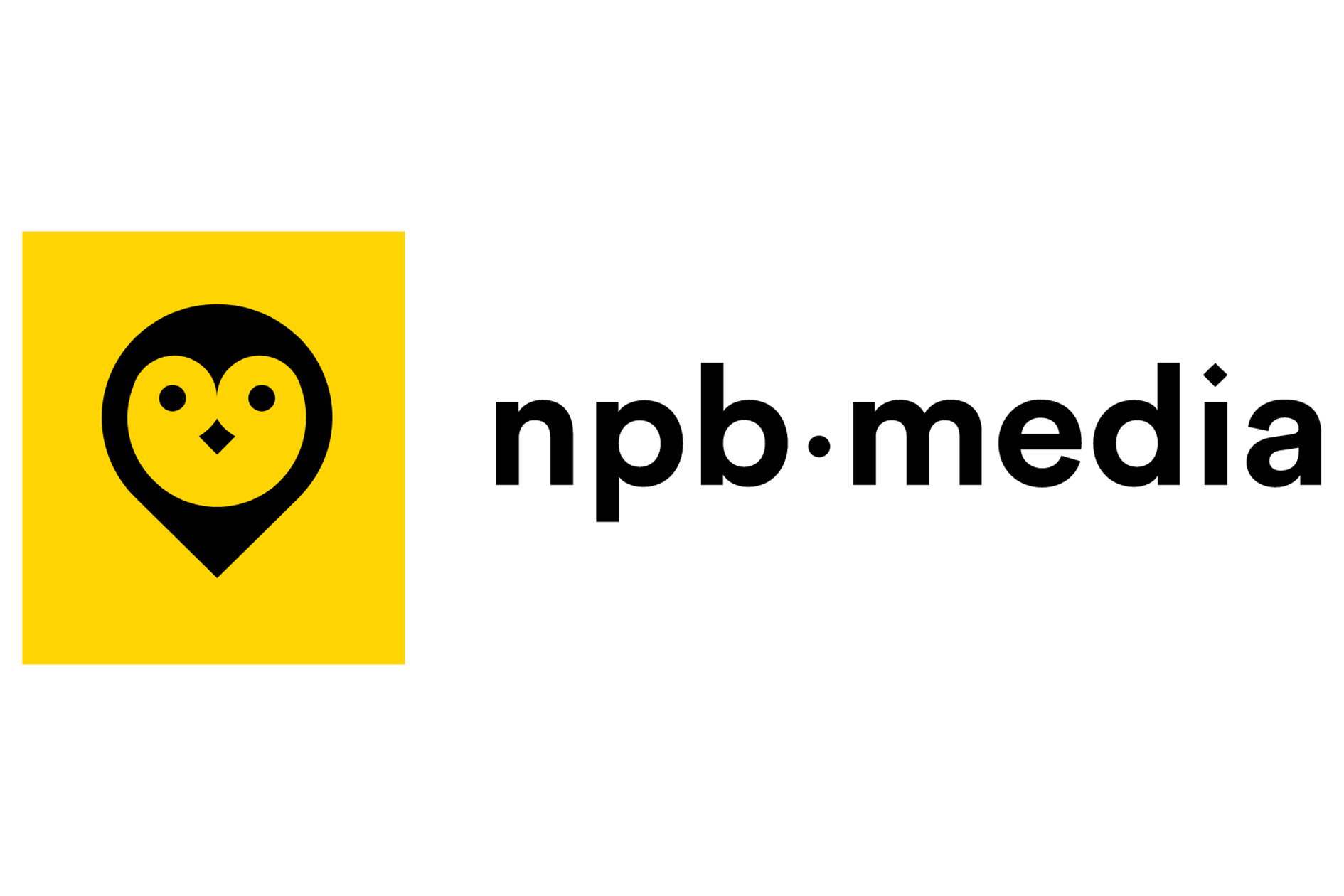 NPB_Media_logo_Synergy_Xperience